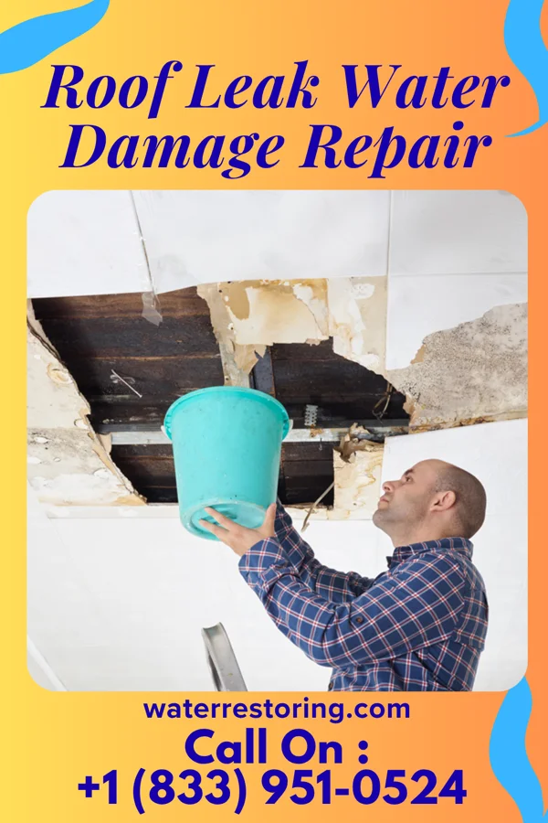 Roof Leak Water Damage Repair in Ranchitos del Norte, TX