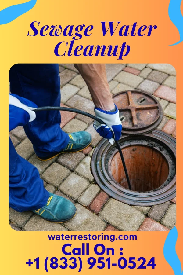 Sewage Water Cleanup in Ranchitos del Norte, TX